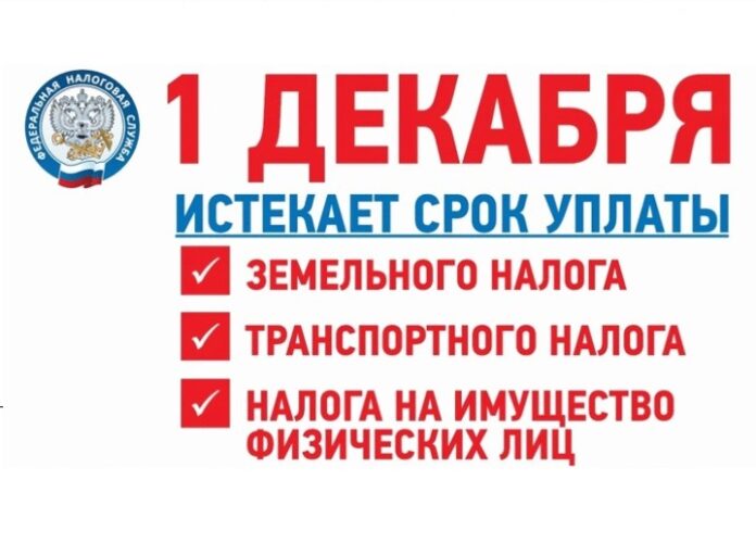 До 1 декабря необходимо оплатить налоги До 1 декабря необходимо оплатить налоги