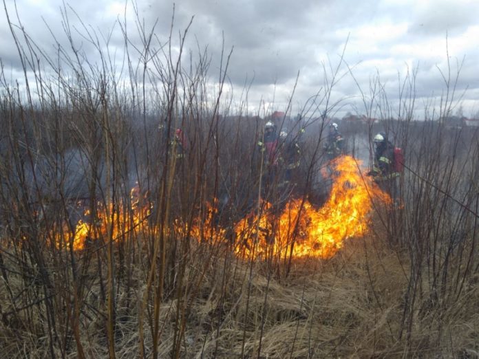 Поджигание сухостоя запрещено! Поджигание сухостоя запрещено!