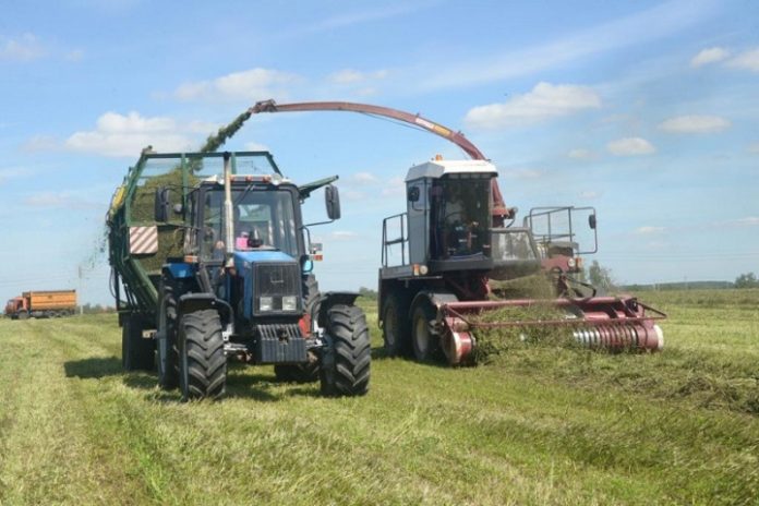 Пожинаем урожай, который посеяли Пожинаем урожай, который посеяли