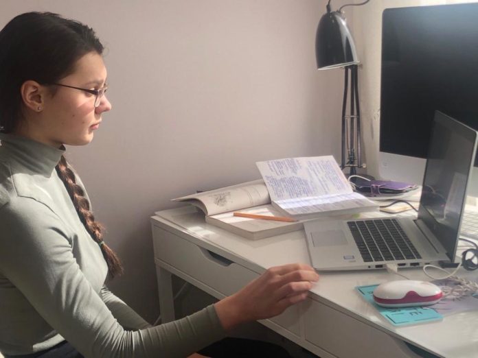 Школьница из Подольска приняла участие в онлайн-диалоге с губернатором Андреем Воробьевым