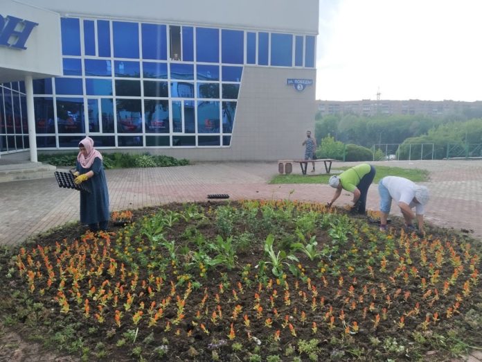 В микрорайоне Климовск на клумбах высаживают цветы