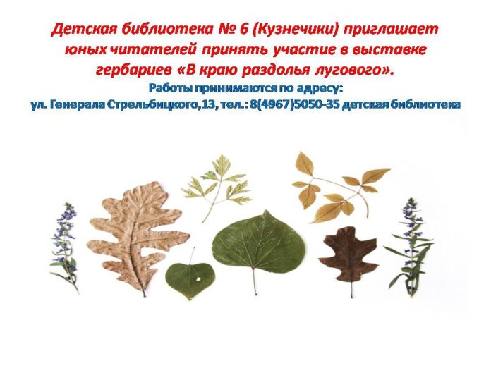 Принять участие в выставке гербариев приглашает детская библиотека № 6