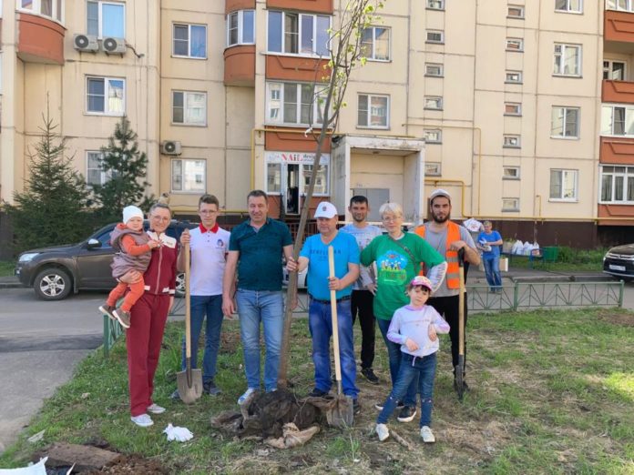 В микрорайоне Климовск высадили 210 кустарников и 76 деревьев