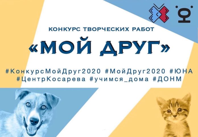 Центр реабилитации животных объявил конкурс #МойДруг2020 Центр реабилитации животных объявил конкурс #МойДруг2020