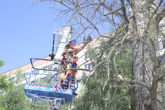 Комбинат благоустройства закупил новую технику для опиловки деревьев Комбинат благоустройства закупил новую технику для опиловки деревьев