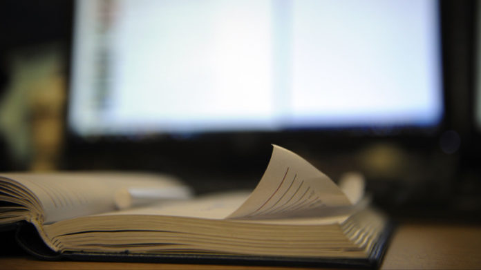 К сведению подольчан: услугу по предоставлению неразграниченной земли в пользование обновили в Подмосковье