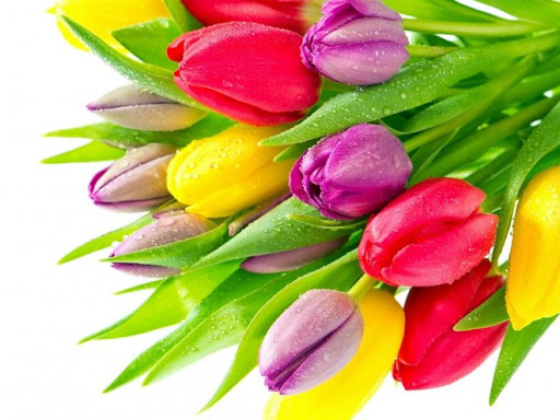 Праздничный концерт «Всё для тебя» состоится в ДК «Молодежный» 8 Марта