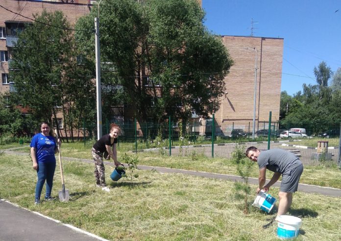 На территории ЖК Эстет высадили деревья На территории ЖК Эстет высадили деревья