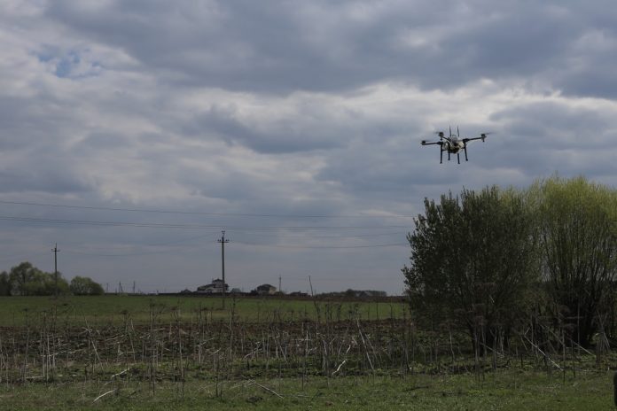 Подольск поблагодарили за реализацию мероприятий по борьбе с борщевиком Подольск поблагодарили за реализацию мероприятий по борьбе с борщевиком