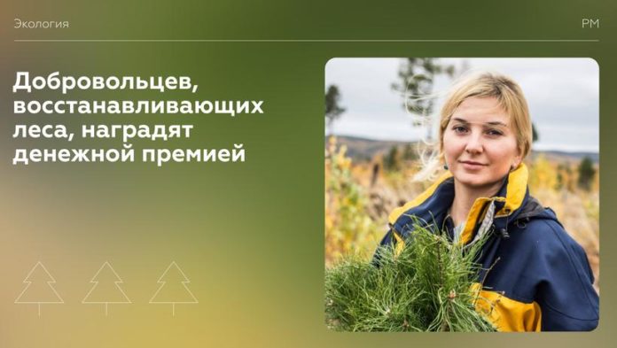 Добровольцы, восстанавливающие леса, будут награждены денежной премией Добровольцы, восстанавливающие леса, будут награждены денежной премией