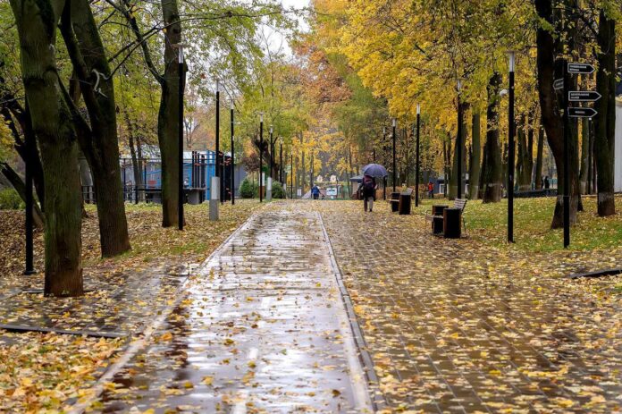 В Подольске проверили готовность ПКиО к зимнему сезону В Подольске проверили готовность ПКиО к зимнему сезону