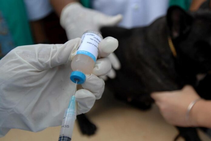 С 21 апреля по 18 мая в Большом Подольске будут проводиться выездные вакцинации против... С 21 апреля по 18 мая в Большом Подольске будут проводиться выездные вакцинации против...