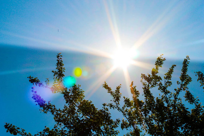 К сведению подольчан: как не допустить тепловой и солнечный удар