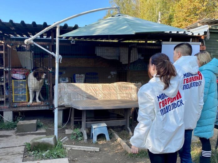 В честь Всемирного дня животных подольские молодогвардейцы передали корм в частный приют для животных