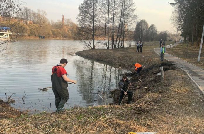 В Климовске из реки убрали замореную рыбу В Климовске из реки убрали замореную рыбу