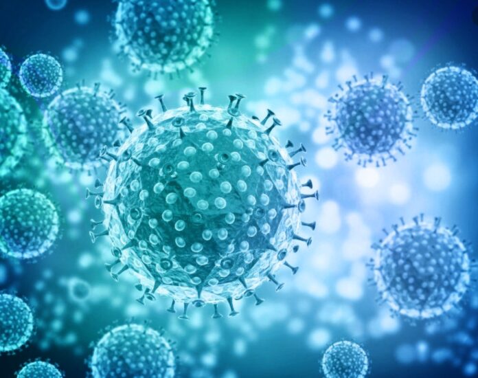 В Подольск «Омикрон» был привезен путешественницей из ЮАР