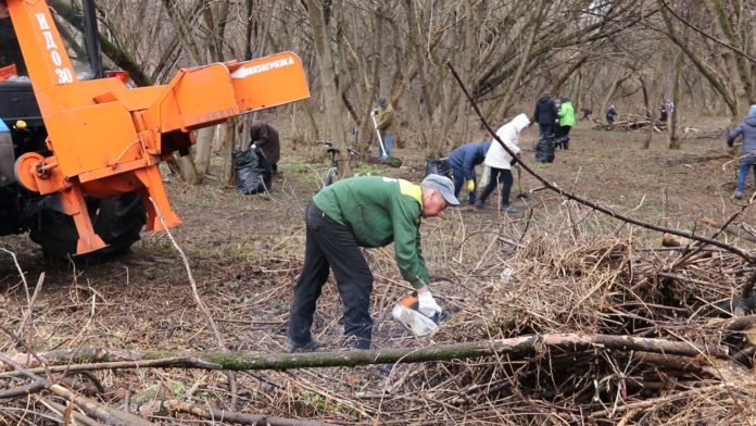Более 17,5 тысяч человек приняли участие в третьем субботнике 13 апреля Более 17,5 тысяч человек приняли участие в третьем субботнике 13 апреля