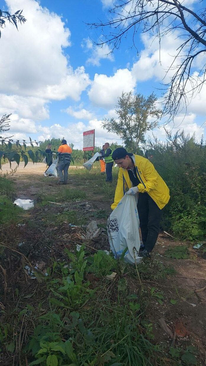 В ходе акции по очистке берега Петрицы в Подольске собрали пять кубометров мусора В ходе акции по очистке берега Петрицы в Подольске собрали пять кубометров мусора