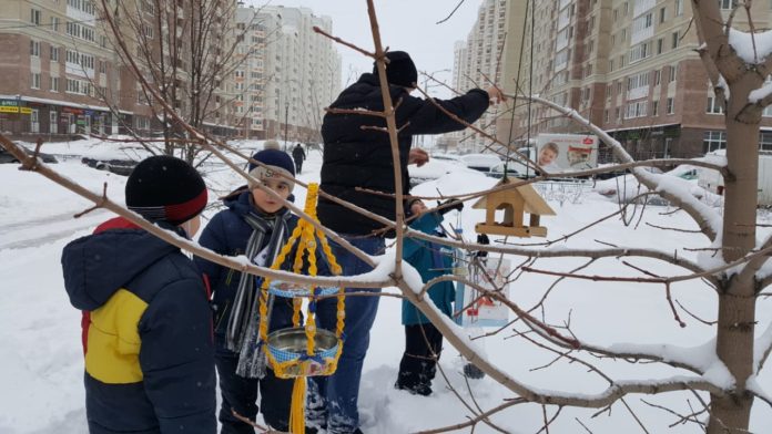 В школах Подольска продолжается акция “Покормите птиц зимой” В школах Подольска продолжается акция “Покормите птиц зимой”