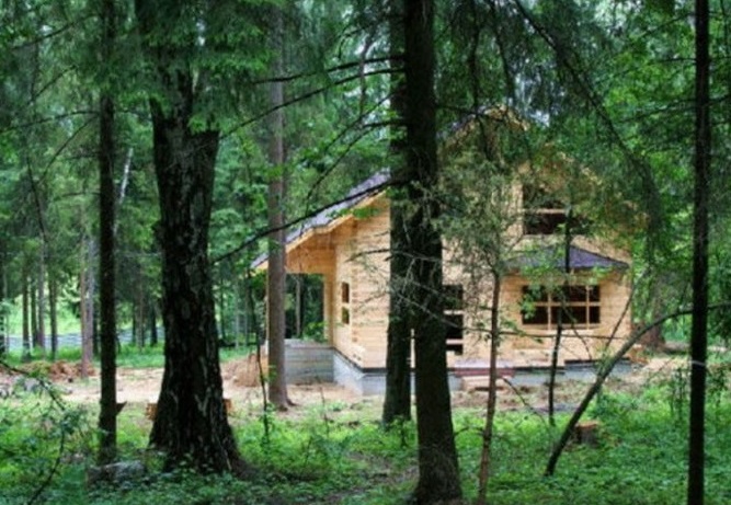 «Лесная амнистия» в Подмосковье будет проходить до 2022 года «Лесная амнистия» в Подмосковье будет проходить до 2022 года