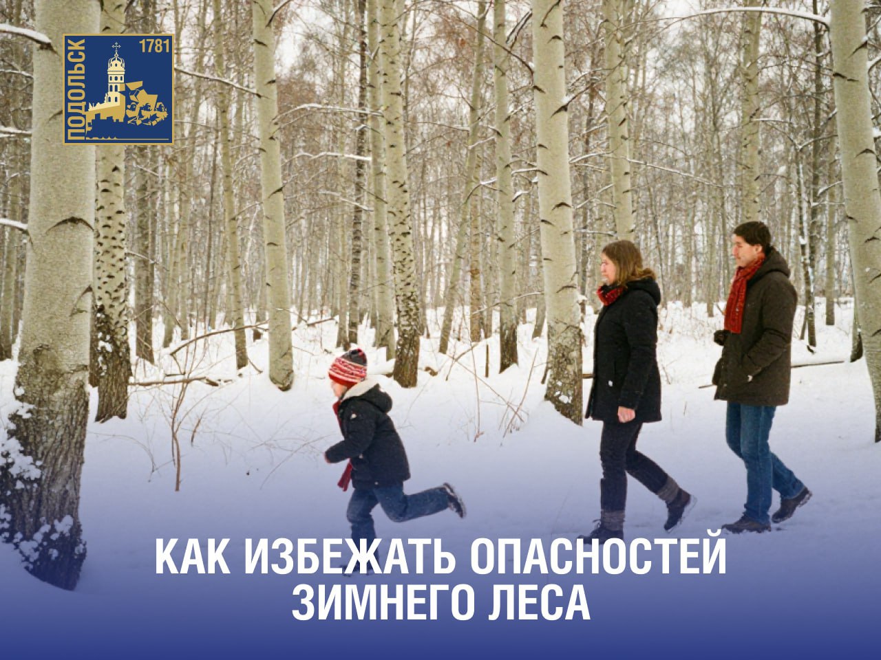 Как избежать опасностей зимнего леса