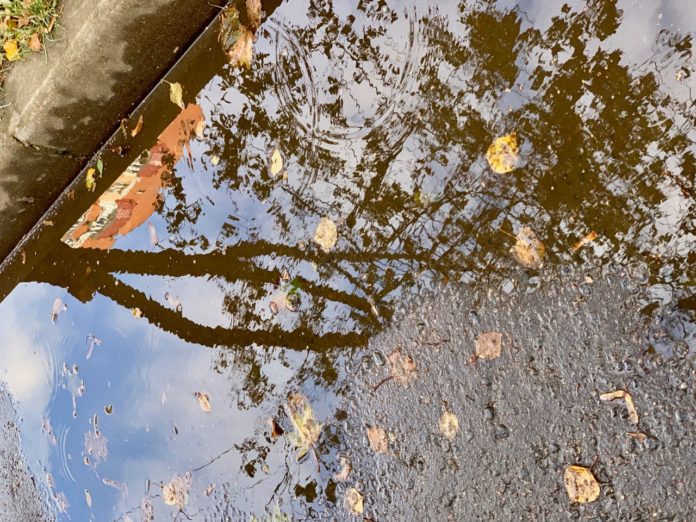 Внимание: штормовое предупреждение для жителей Подмосковья