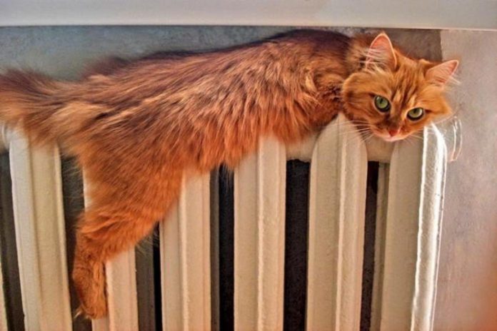 Полным ходом идет теплоснабжение в отопительный сезон в Подольске