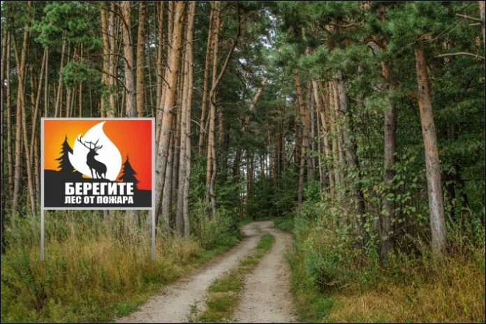 Нужно беречь лес от пожара!