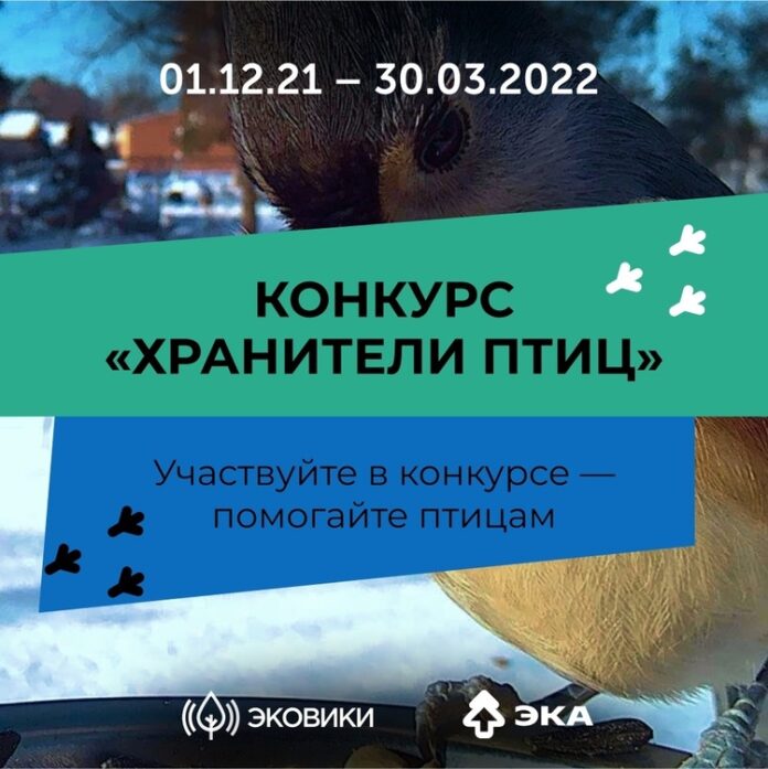 Подольчане могут принять участие в конкурсе “Хранители птиц” Подольчане могут принять участие в конкурсе “Хранители птиц”