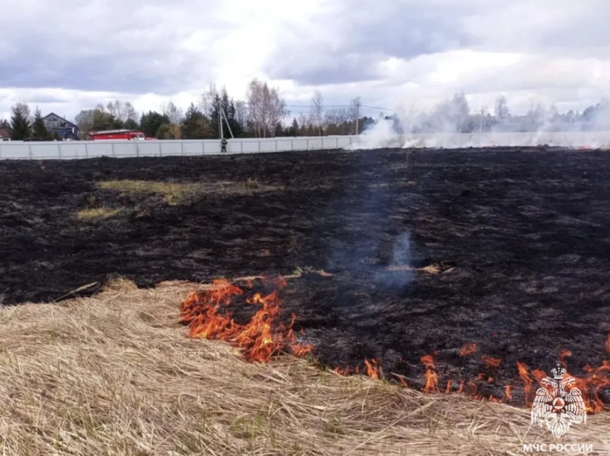 Травяные палы под контролем, но риск сохраняется