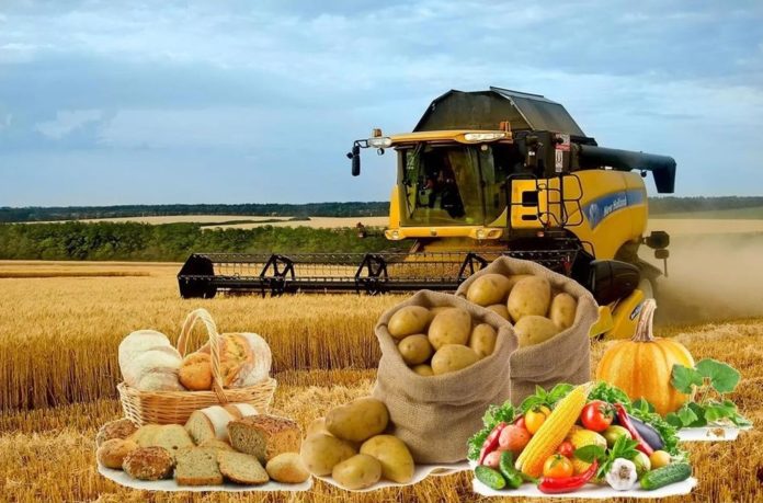 Заведи свое хозяйство в Подмосковье. Осуществи свою мечту Заведи свое хозяйство в Подмосковье. Осуществи свою мечту