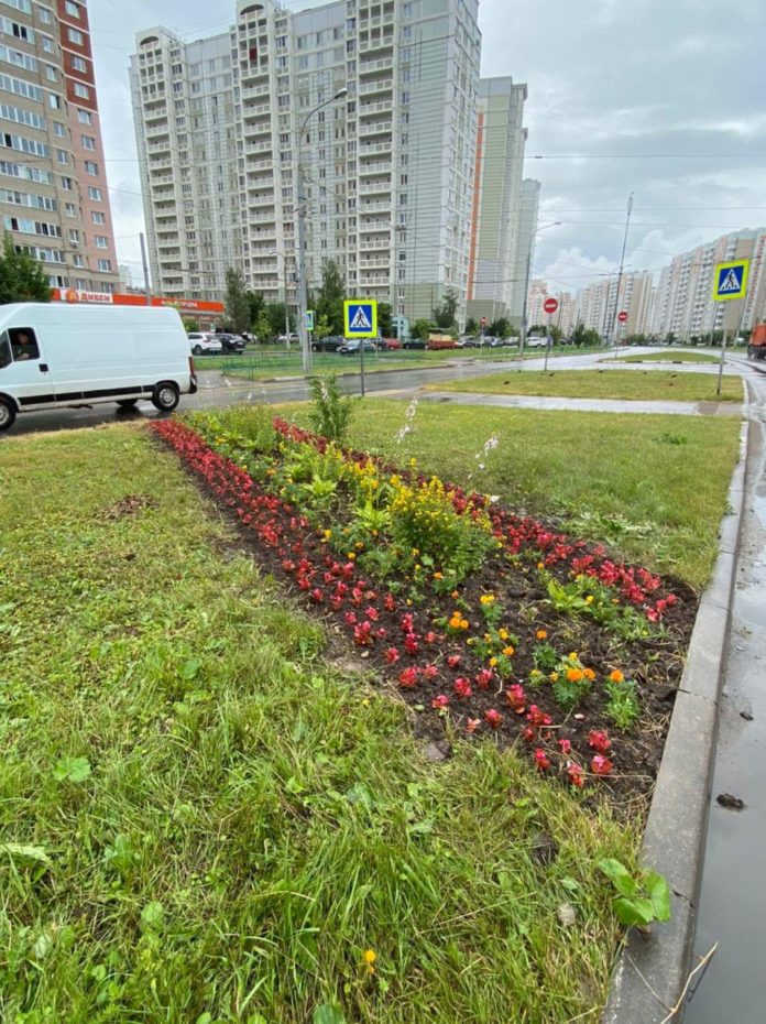 В центре микрорайона Кузнечики обновили клумбу В центре микрорайона Кузнечики обновили клумбу