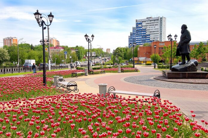 Более 300 тысяч луковиц тюльпанов посадят на клумбах Большого Подольска в октябре