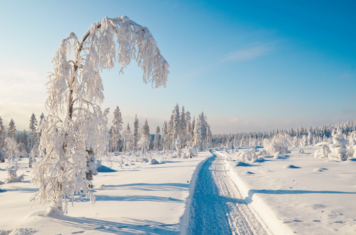 Зимнее настроение