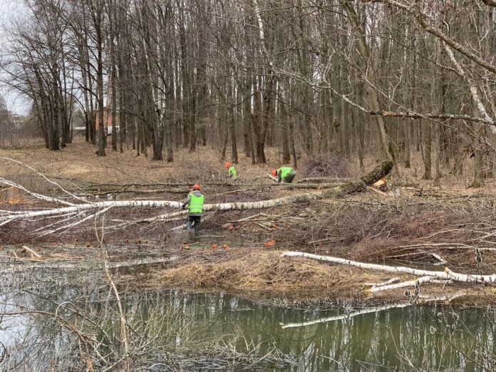 В границах микрорайона Климовск проходят мероприятия по экологической реабилитации реки Петрицы В границах микрорайона Климовск проходят мероприятия по экологической реабилитации реки Петрицы