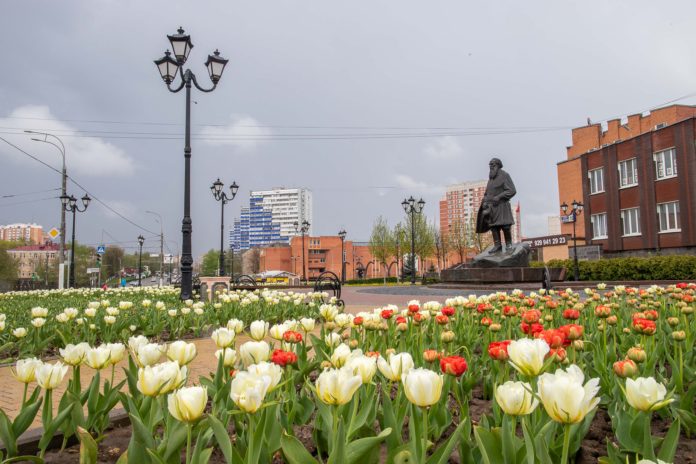 В Городском округе Подольск более 300 тысяч тюльпанов расцветают на клумбах В Городском округе Подольск более 300 тысяч тюльпанов расцветают на клумбах