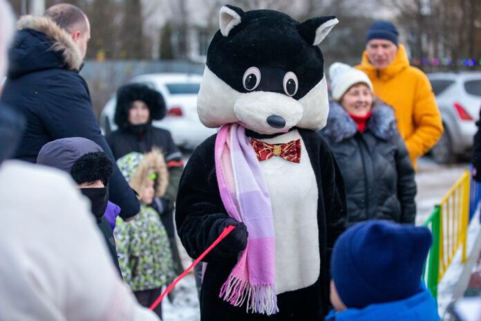 В деревне Ордынцы открыли новую ДИП В деревне Ордынцы открыли новую ДИП