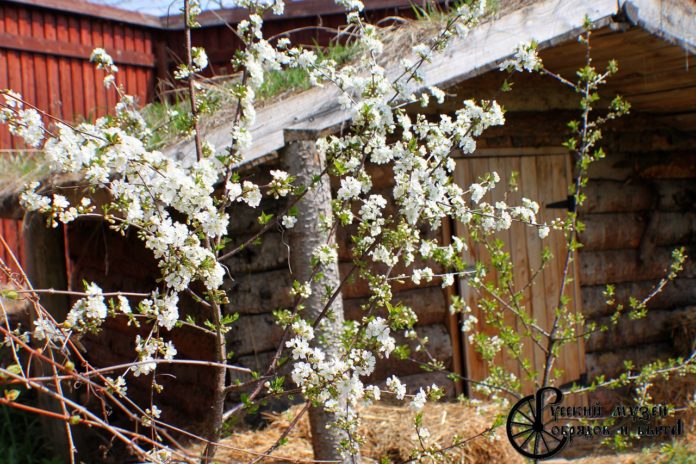 Русский музей обрядов и быта открывает запись на пасхальные экскурсии Русский музей обрядов и быта открывает запись на пасхальные экскурсии