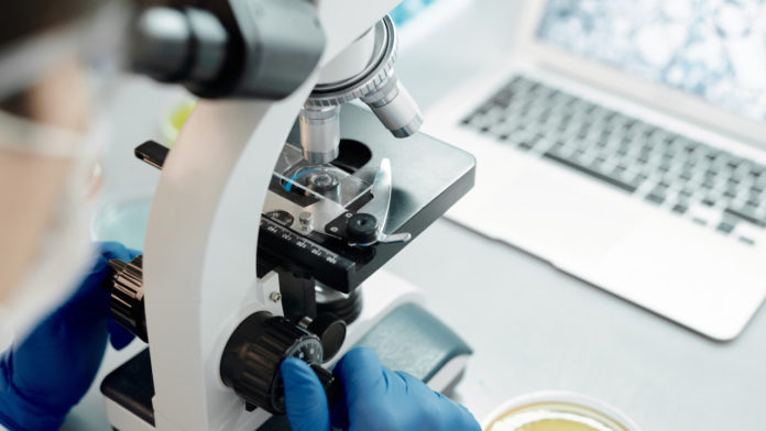 Информируем подольчан: подмосковные ученые придумали как повысить эффективность борьбы с онкологией Информируем подольчан: подмосковные ученые придумали как повысить эффективность борьбы с онкологией