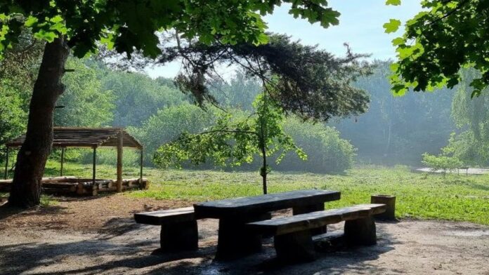 Подольское лесничество заняло третье место в конкурсе по благоустройству мест отдыха в лесах Подмосковья Подольское лесничество заняло третье место в конкурсе по благоустройству мест отдыха в лесах Подмосковья