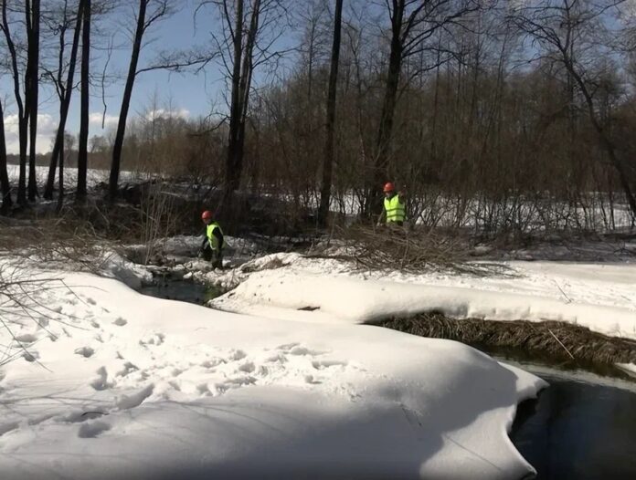 В районе деревни Большое Толбино стартовали работы по расчистке реки Петрицы В районе деревни Большое Толбино стартовали работы по расчистке реки Петрицы