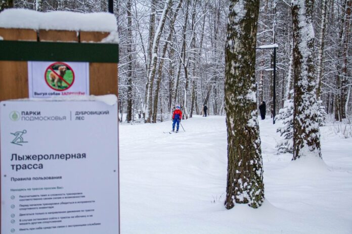 О благоустройстве в Подольске лесопарка «Дубровицкий лес»  О благоустройстве в Подольске лесопарка «Дубровицкий лес»