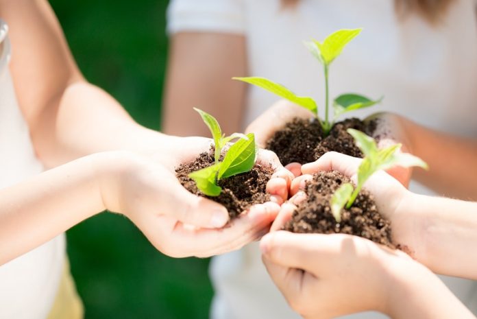 В школах будут проводить уроки по экологии