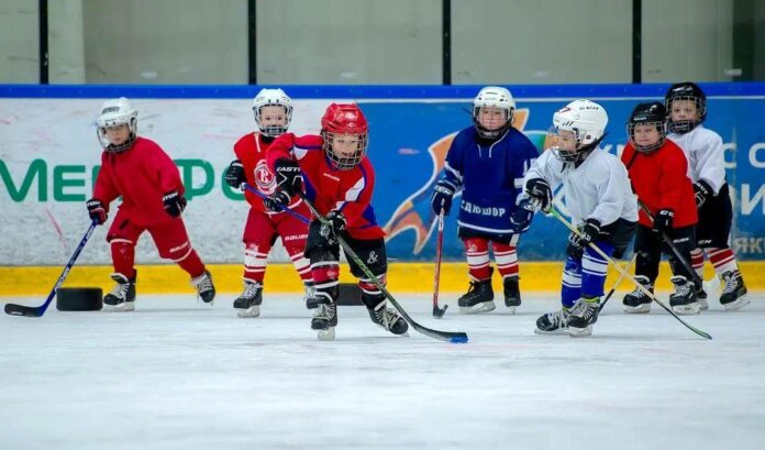 Спортшкола «Витязь» вошла в двадцатку лучших хоккейных школ России Спортшкола «Витязь» вошла в двадцатку лучших хоккейных школ России