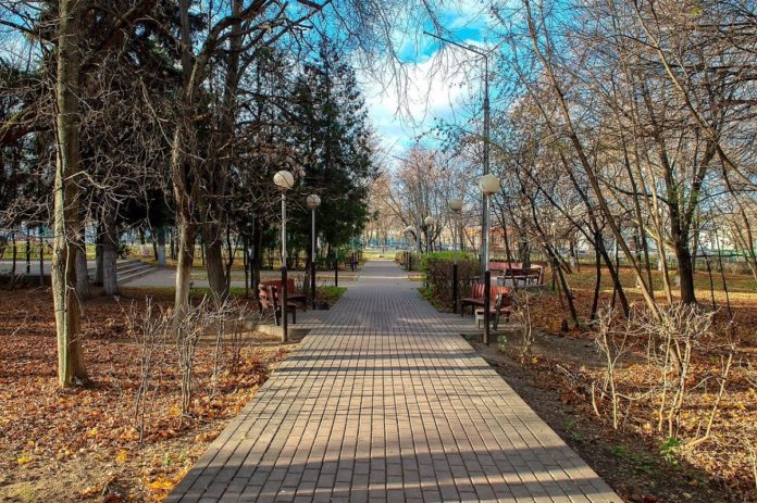 Сквер у дома культуры ЗиО в Подольске благоустраивают по просьбе жителей Сквер у дома культуры ЗиО в Подольске благоустраивают по просьбе жителей