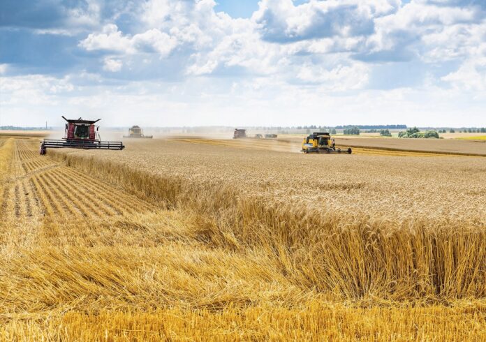 Начинающие подольские фермеры могут получить бесплатную помощь Начинающие подольские фермеры могут получить бесплатную помощь