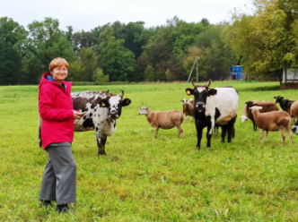 Ученые планируют изучить генетический материал коров, живших в XI-XVI веках в ВИЖ им. Л.К.... Ученые планируют изучить генетический материал коров, живших в XI-XVI веках в ВИЖ им. Л.К....