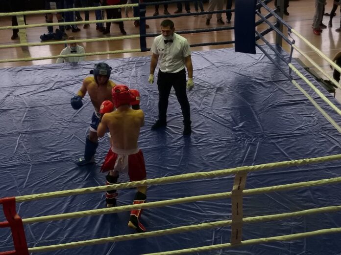 В Подольске состоялся Открытый турнир по кикбоксингу памяти Героя России Александра Монетова В Подольске состоялся Открытый турнир по кикбоксингу памяти Героя России Александра Монетова