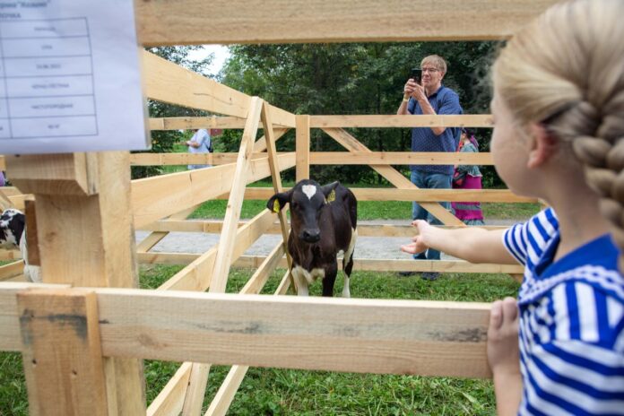 На фестивале «Славянское подворье» представят селекционные породы сельхозживотных