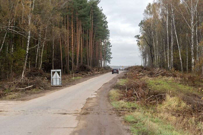 Полосу отвода дороги Дубровицы – б/о «Мечта» расчищают в Подольске